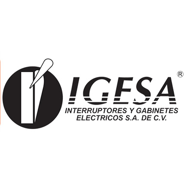 Logo IGUESA